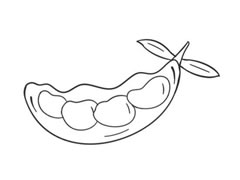 豌豆簡筆畫創(chuàng)作步驟圖示