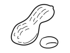 花生簡(jiǎn)筆畫創(chuàng)作步驟圖示
