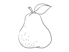 香梨簡(jiǎn)筆畫創(chuàng)作步驟圖示