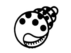貝殼兒童簡(jiǎn)筆畫步驟圖示