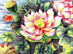 荷花油畫棒創(chuàng)作步驟圖示