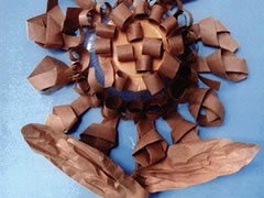 向日葵少兒美術(shù)趣味創(chuàng)意步驟圖示