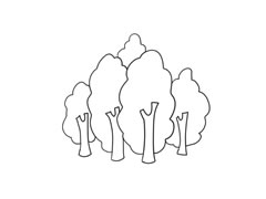 樹林簡(jiǎn)筆畫繪制步驟圖示
