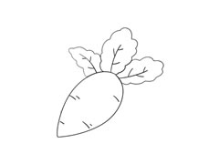 蘿卜簡(jiǎn)筆畫(huà)繪制步驟圖示