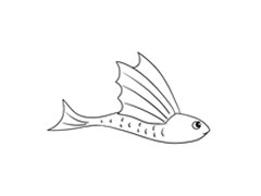 飛魚簡筆畫繪制步驟圖示