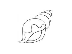 貝殼簡(jiǎn)筆畫法步驟圖示