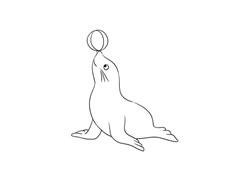 海豹簡(jiǎn)筆畫繪制步驟圖示