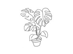 龜背竹簡(jiǎn)筆畫法步驟圖示