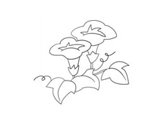 喇叭花簡筆畫法步驟圖示