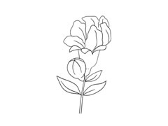 石榴花簡(jiǎn)筆畫法步驟圖示