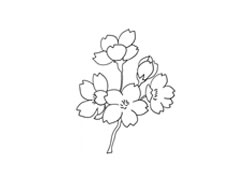 櫻花簡筆畫法步驟圖示