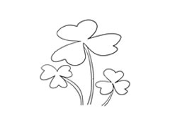 三葉草簡筆畫法步驟圖示