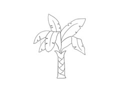 芭蕉樹(shù)簡(jiǎn)筆畫(huà)法步驟圖示