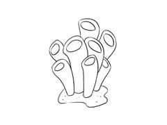 海底植物簡(jiǎn)筆畫法步驟圖示