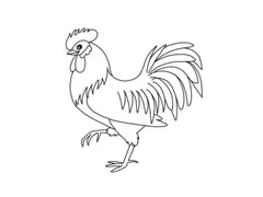 公雞簡(jiǎn)筆畫分步繪制