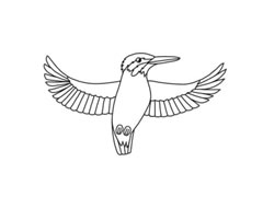 翠鳥簡筆畫分步繪制
