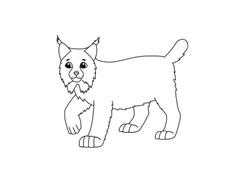 猞猁簡筆畫分步繪制