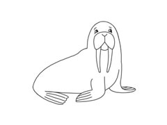 海象簡(jiǎn)筆畫分步繪制