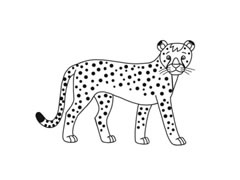 獵豹簡(jiǎn)筆畫分步繪制