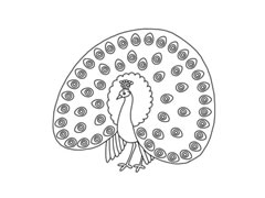 孔雀簡(jiǎn)筆畫分步繪制