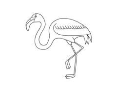 火烈鳥簡筆畫分步繪制
