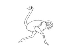 鴕鳥簡筆畫分步繪制