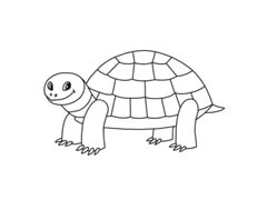陸地龜簡(jiǎn)筆畫(huà)分步繪制