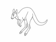 袋鼠簡(jiǎn)筆畫(huà)分步繪制