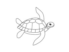 海龜簡(jiǎn)筆畫分步繪制
