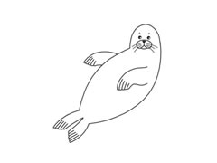 海豹簡(jiǎn)筆畫分步繪制