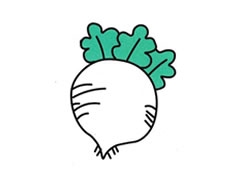 蘿卜簡(jiǎn)筆畫(huà)分步繪制圖示