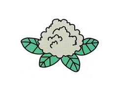 菜花簡(jiǎn)筆畫(huà)分步繪制圖示