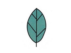 樹(shù)葉簡(jiǎn)筆畫(huà)分步繪制圖示