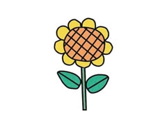 向日葵簡筆畫分步繪制圖示