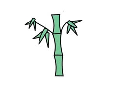 竹子簡筆畫分步繪制圖示