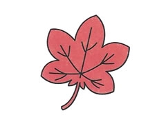 楓葉簡(jiǎn)筆畫(huà)繪制步驟圖示