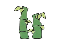 簡(jiǎn)筆畫(huà)竹子畫(huà)法步驟圖示