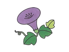 簡筆畫喇叭花畫法步驟圖示