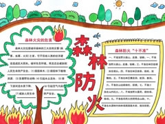 森林防火手抄報模板（第一版）