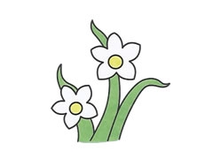 簡筆畫蘭花畫法步驟圖示