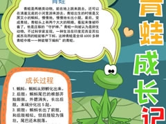 青蛙成長(zhǎng)記錄手抄報(bào)模板