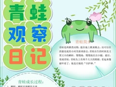 青蛙觀察日記手抄報(bào)模板