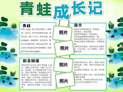 青蛙成長(zhǎng)記手抄報(bào)模板