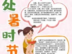 處暑時節(jié)手抄報內(nèi)容模板