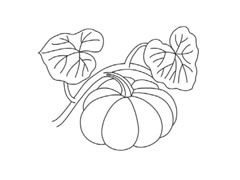 簡(jiǎn)筆畫(huà)南瓜分步繪制圖示