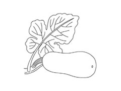 簡(jiǎn)筆畫(huà)茄子分步畫(huà)法圖示