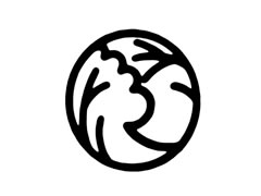 包心菜幼兒簡(jiǎn)筆畫(huà)分步畫(huà)法圖示