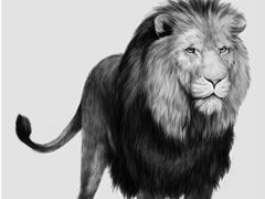雄獅素描畫法步驟圖示解析