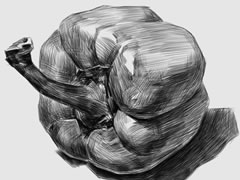 素描彩椒的畫(huà)法步驟圖示解析