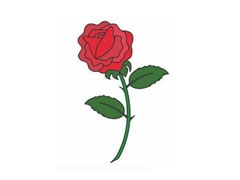 玫瑰花幼兒簡筆畫分步繪制圖示